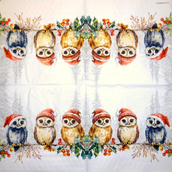 116 Owls - ply - Kalamazoo - CS - 24x24cm